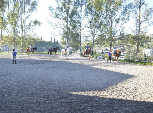Caballos con los alumnos en la pista